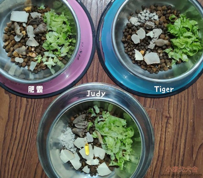 小泰戈犬舍2020年第42周周报