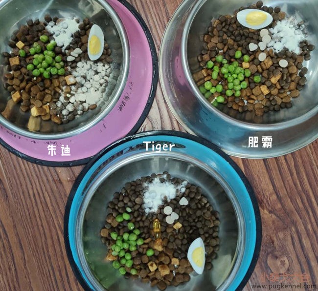 小泰戈犬舍2020年第43周周报