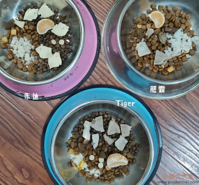 小泰戈犬舍2020年第43周周报