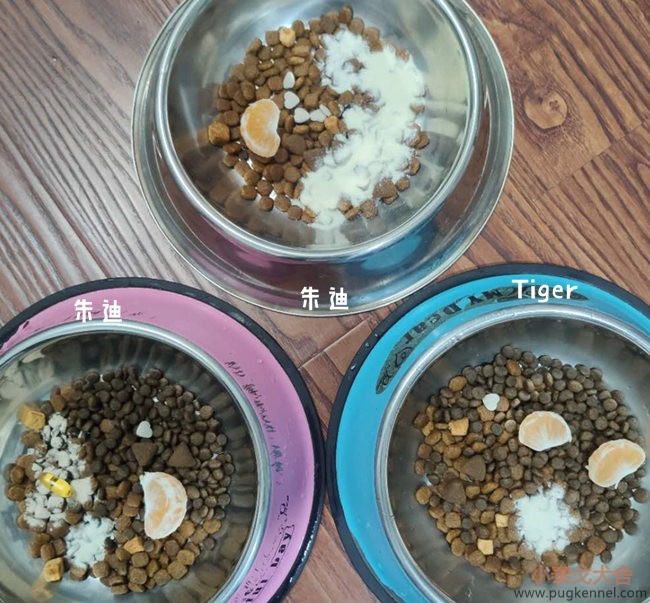 小泰戈犬舍2020年第43周周报
