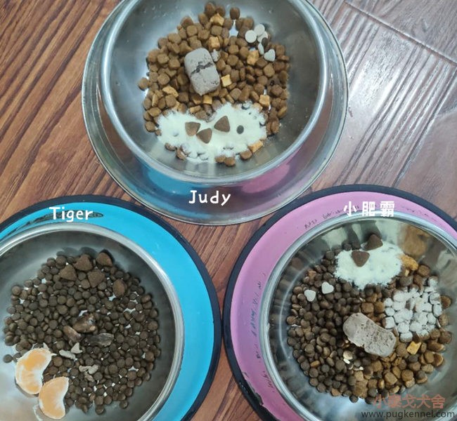 小泰戈犬舍2020年第43周周报