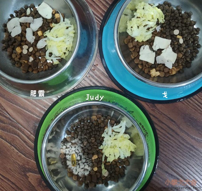 小泰戈犬舍2020年第44周周报