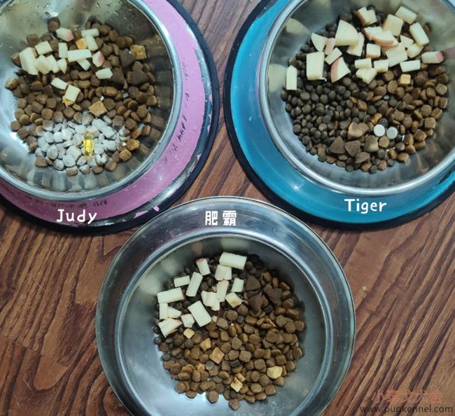 小泰戈犬舍2020年第44周周报