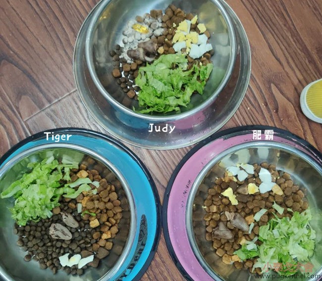 小泰戈犬舍2020年第44周周报