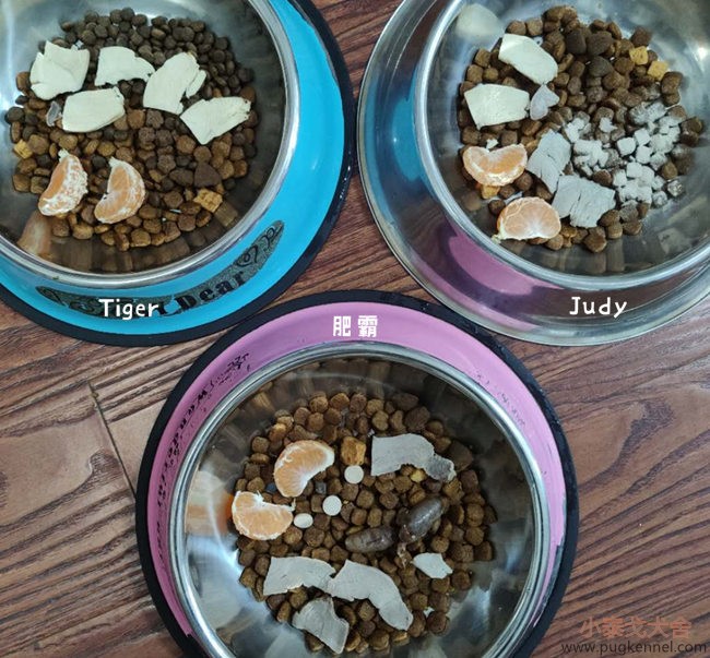 小泰戈犬舍2020年第44周周报
