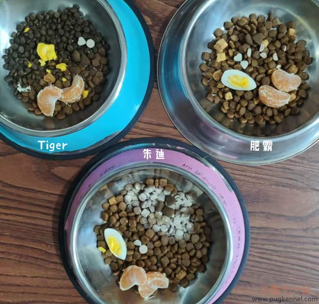 小泰戈犬舍2020年第45周周报