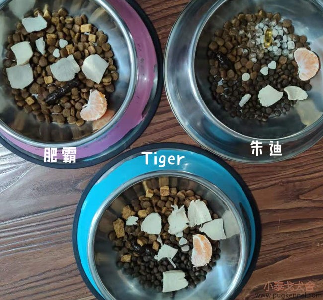 小泰戈犬舍2020年第45周周报