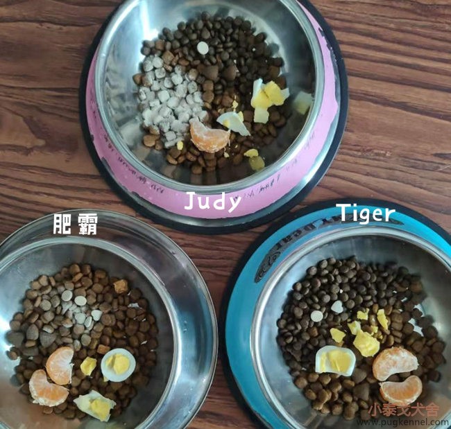 小泰戈犬舍2020年第45周周报