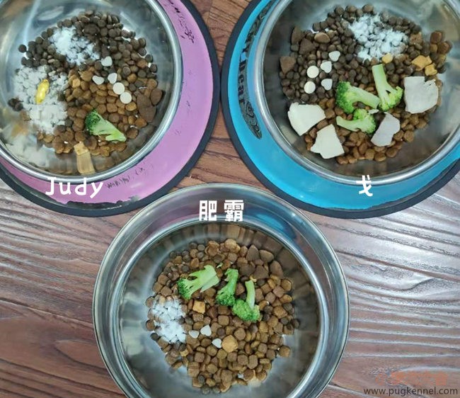 小泰戈犬舍2020年第45周周报