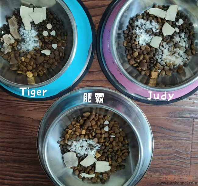 小泰戈犬舍2020年第45周周报