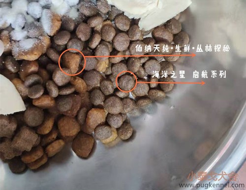小泰戈犬舍2020年第46周周报