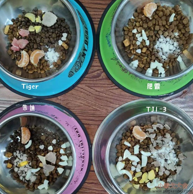 小泰戈犬舍2020年第46周周报