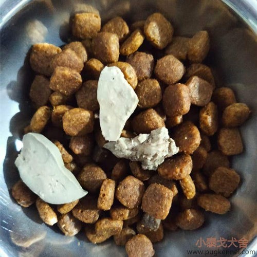 小泰戈犬舍2020年第47周周报