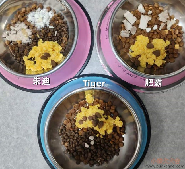 小泰戈犬舍2020年第48周周报