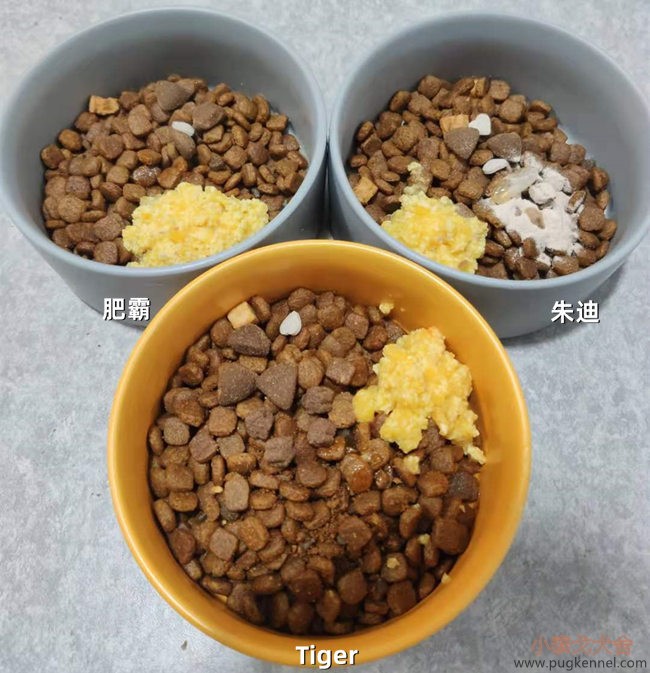 小泰戈犬舍2020年第48周周报