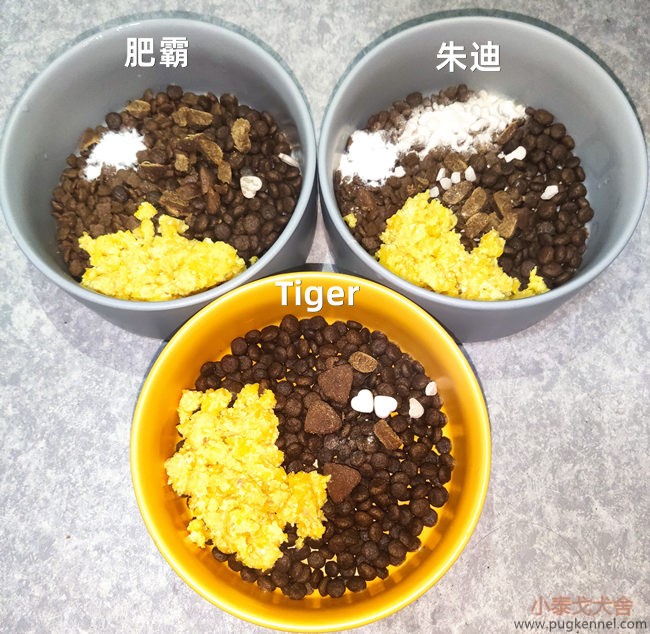 小泰戈犬舍2020年第48周周报