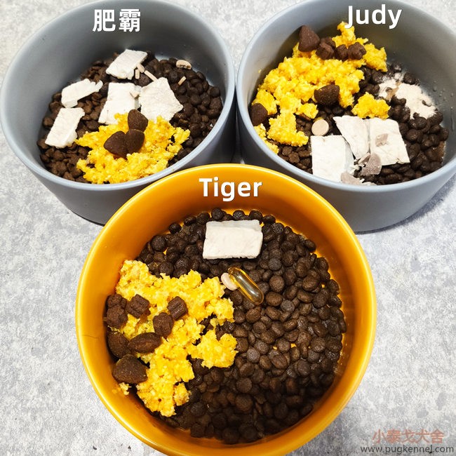 小泰戈犬舍2020年第49周周报