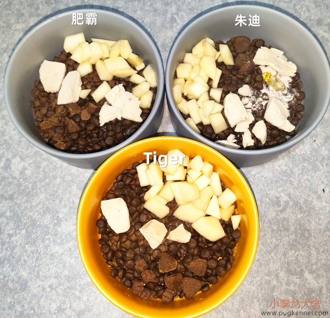 小泰戈犬舍2020年第49周周报