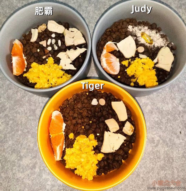 小泰戈犬舍2020年第49周周报