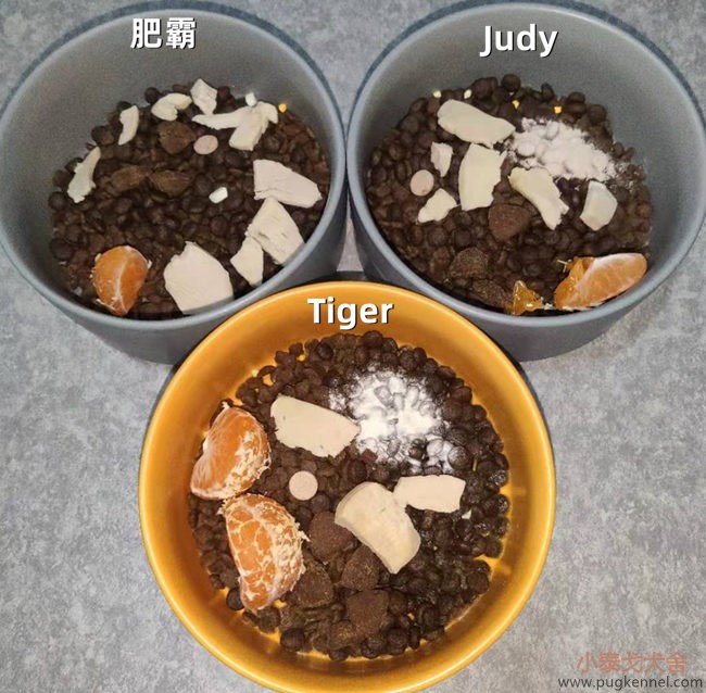 小泰戈犬舍2020年第49周周报