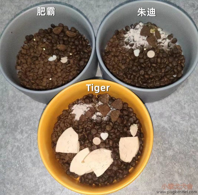 小泰戈犬舍2020年第49周周报
