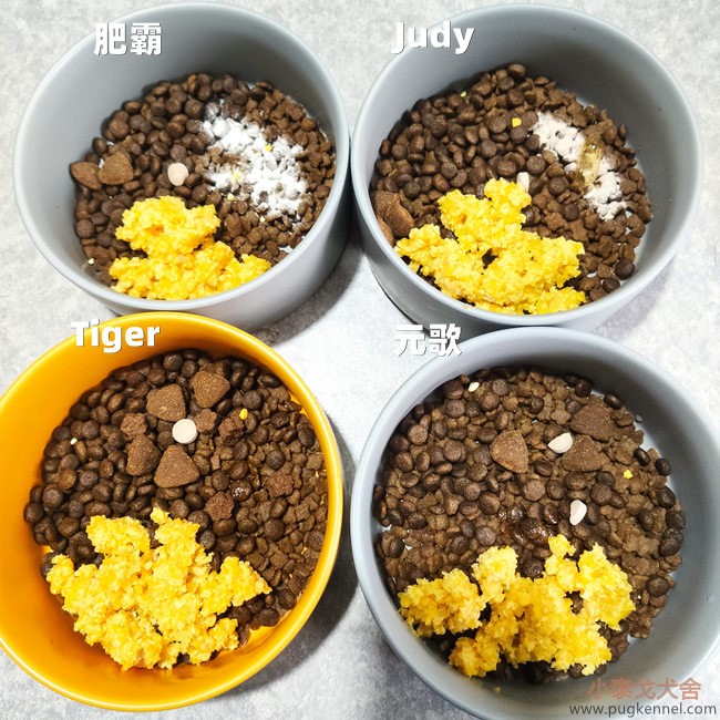 小泰戈犬舍2020年第50周周报