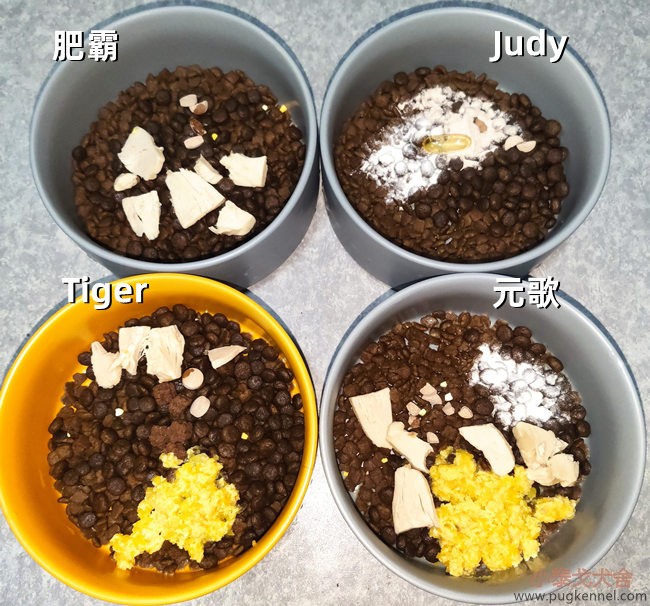 小泰戈犬舍2020年第50周周报