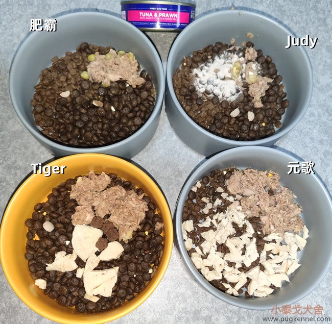 小泰戈犬舍2020年第50周周报