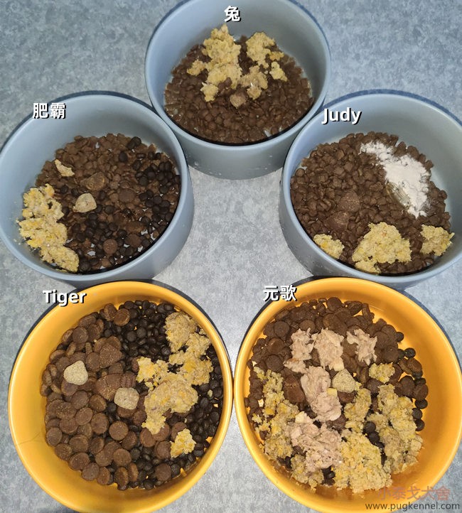 小泰戈犬舍2020年第53周周报