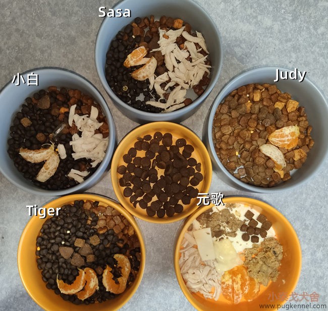 小泰戈犬舍2021年第7周周报