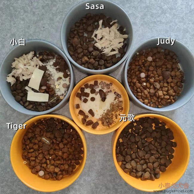 小泰戈犬舍2021年第10周周报