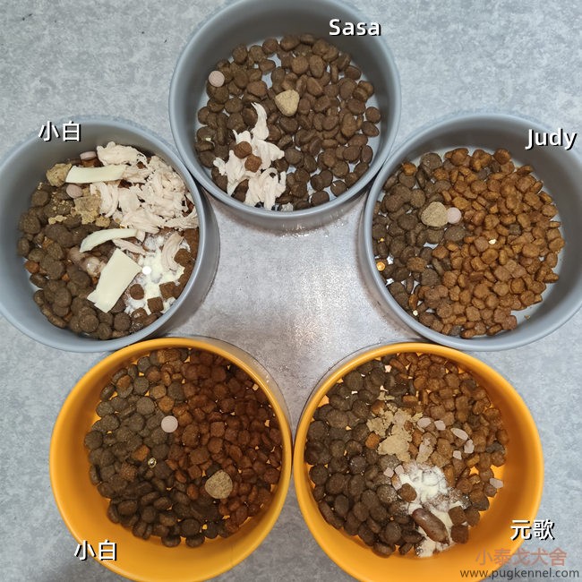 小泰戈犬舍2021年第11周周报