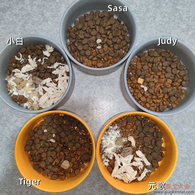 小泰戈犬舍2021年第11周周报