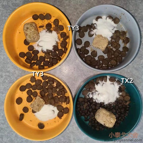 小泰戈犬舍2021年第16周周报