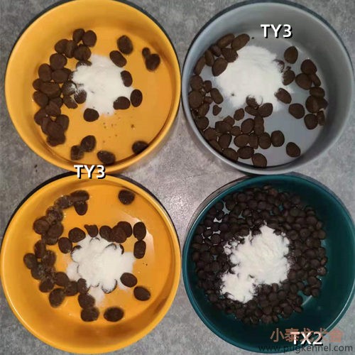 小泰戈犬舍2021年第16周周报