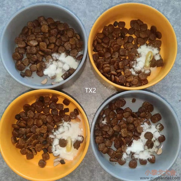 小泰戈犬舍2021年第21周周报