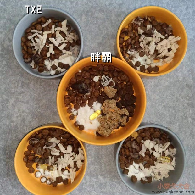 小泰戈犬舍2021年第22周周报