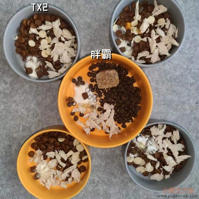 小泰戈犬舍2021年第23周周报