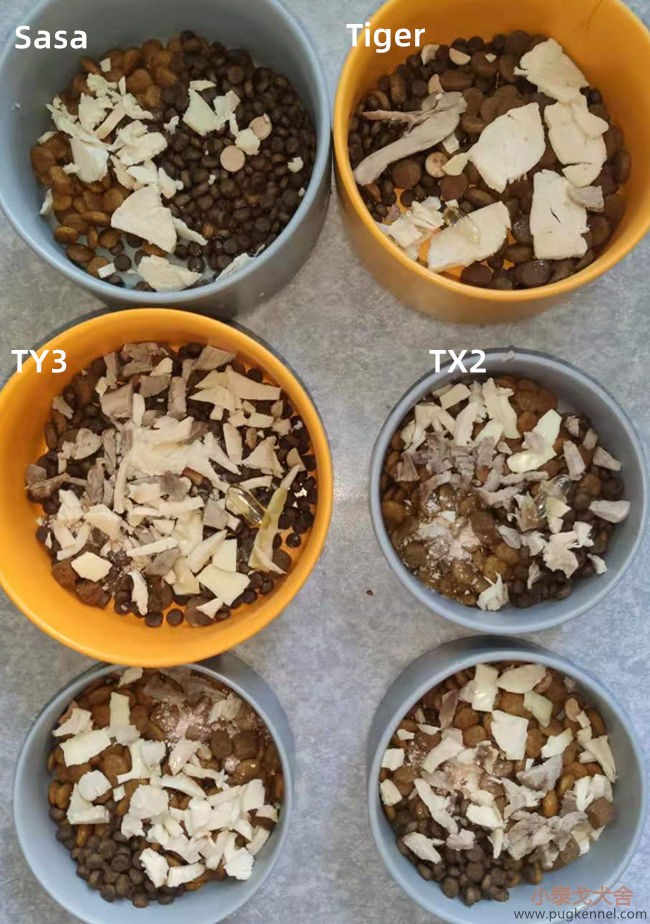 小泰戈犬舍2021年第29周周报