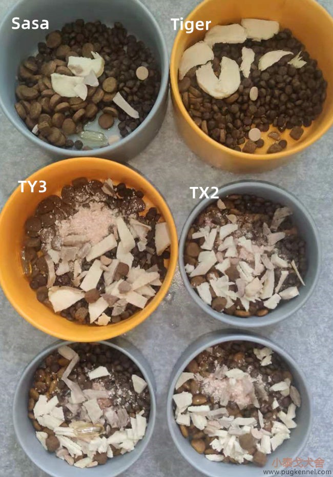 小泰戈犬舍2021年第29周周报