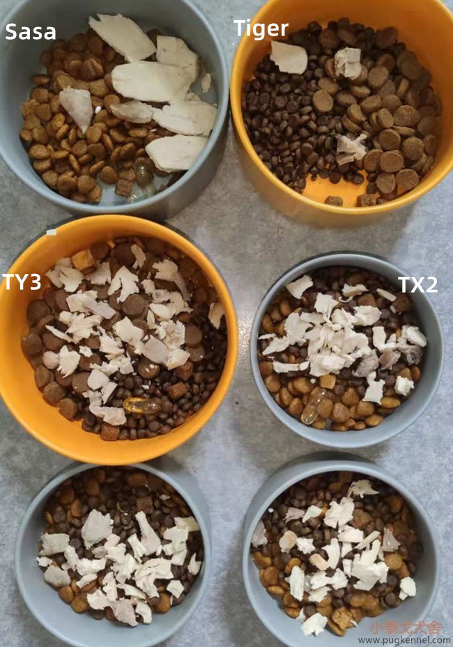 小泰戈犬舍2021年第29周周报