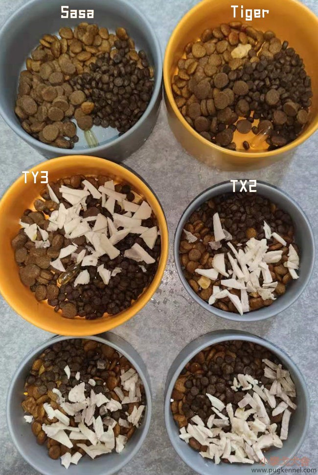 小泰戈犬舍2021年第30周周报