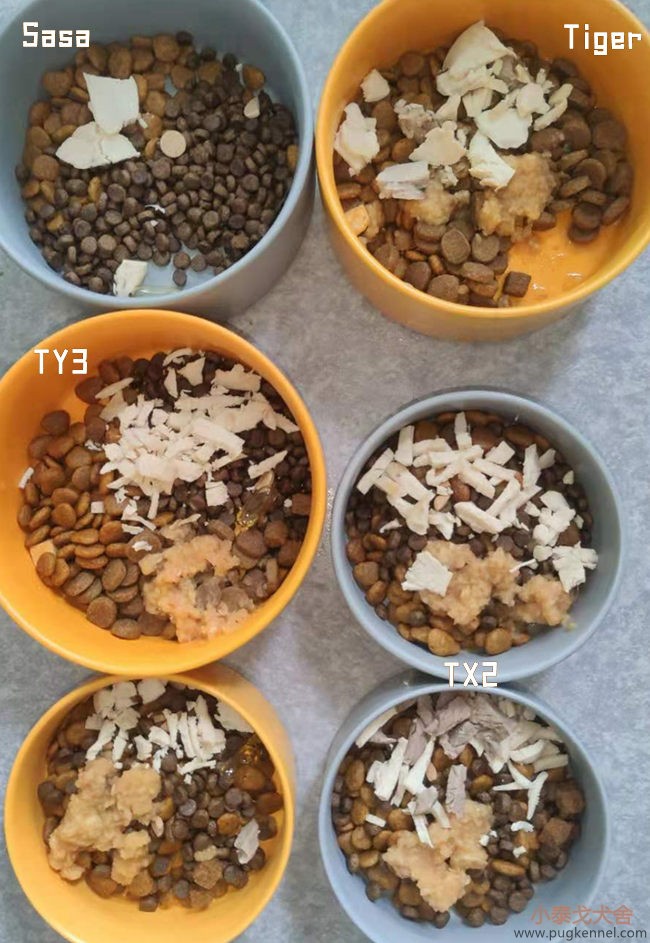 小泰戈犬舍2021年第30周周报