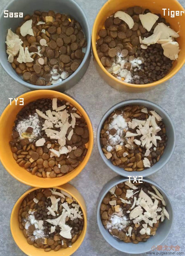 小泰戈犬舍2021年第30周周报