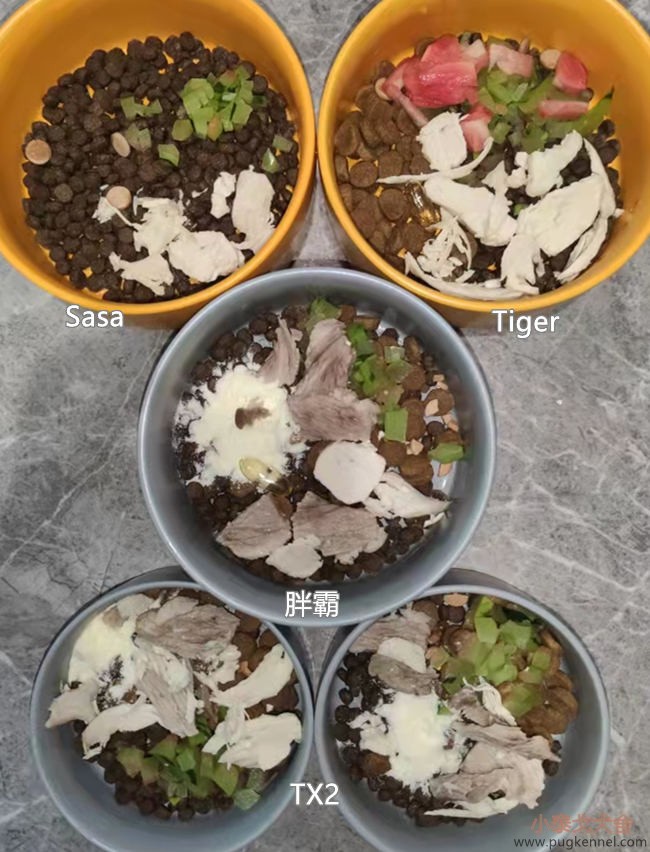 小泰戈犬舍2021年第35周周报