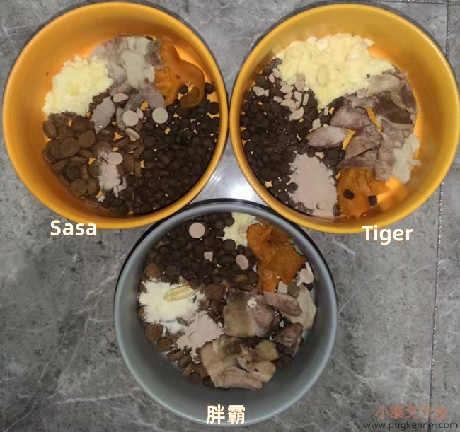 小泰戈犬舍2021年第41周周报