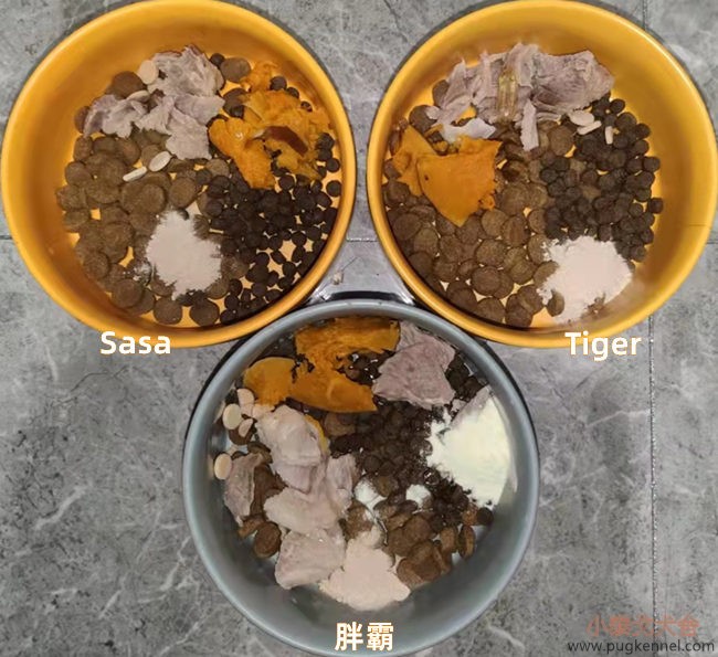 小泰戈犬舍2021年第41周周报