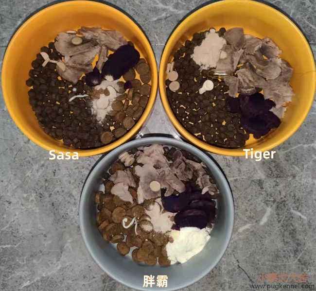 小泰戈犬舍2021年第41周周报