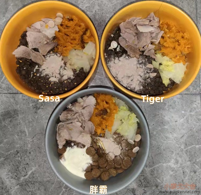 小泰戈犬舍2021年第41周周报