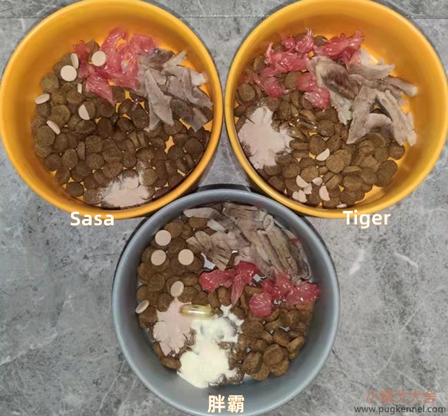 小泰戈犬舍2021年第41周周报